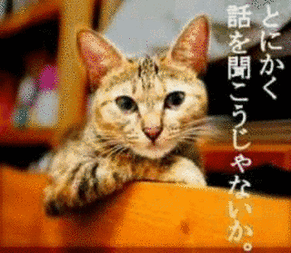 観察者効果の画像