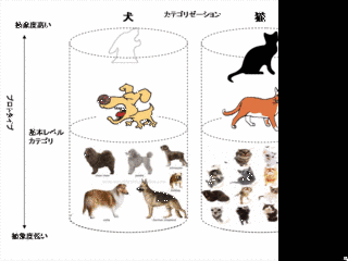 プロトタイプ理論の画像