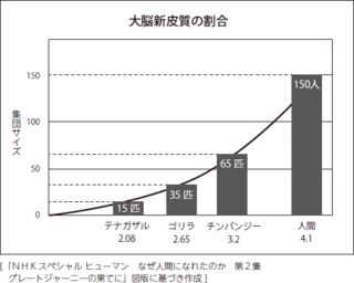 マキャベリ的知性仮説の画像