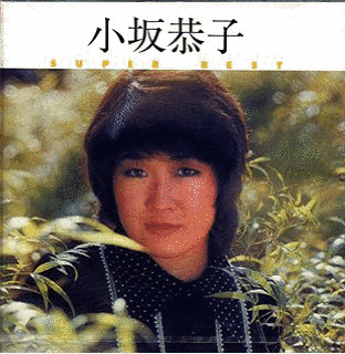 小坂恭子の画像
