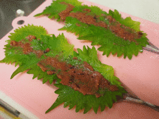 大葉るかの画像