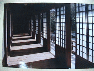 SHOJIの画像
