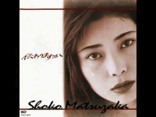 松阪晶子の画像