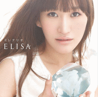 ELISAの画像
