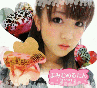 船越真美子の画像