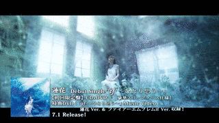 蓮花の画像