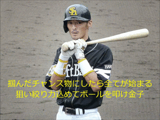 金子圭輔の画像