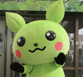 エコハちゃんの画像