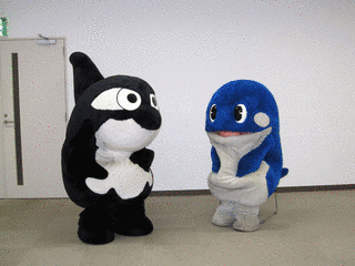 カイオーの画像