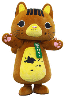 ピカリャ〜の画像