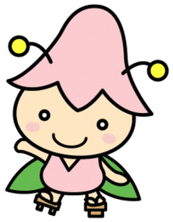 こゆりちゃんの画像