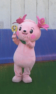きみぴょんの画像