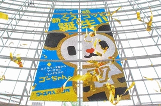 ゴーちゃんの画像