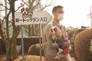 ジェイソン・クーチャックの画像
