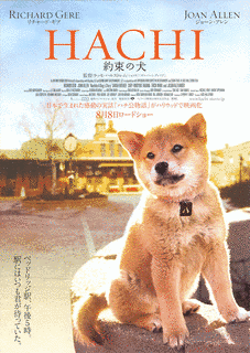 HACHI -東京23宮-の画像