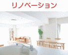 カメイの画像
