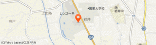 レンゴーの画像