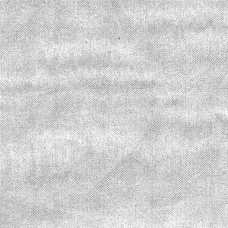 ヴォルフガング・パノフスキーの画像