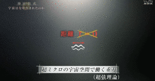 ジョセフ・ポルチンスキーの画像