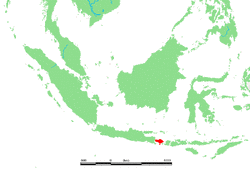 インドネシアの画家の画像