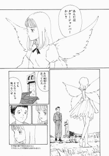 ヴァンデミエールの翼の画像