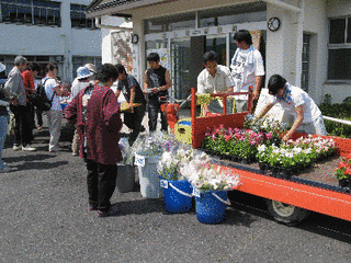 滋賀県立農業短期大学の画像
