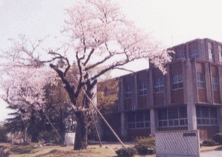 金沢美術工芸短期大学の画像