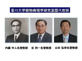 香川県立農科大学の画像
