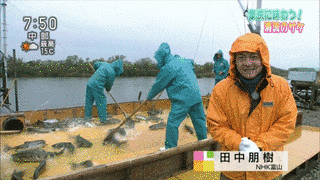 田中朋樹の画像