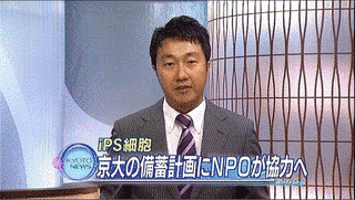金城均の画像