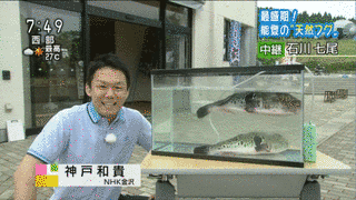 神戸和貴の画像