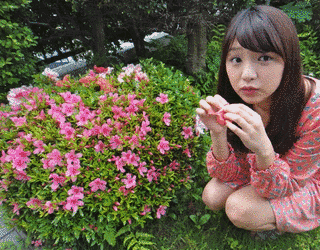 浅賀優美の画像