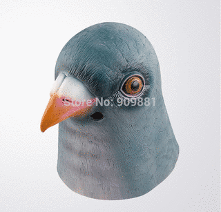 ピジョンヘッドの画像