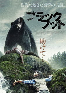 ブラックフットの画像