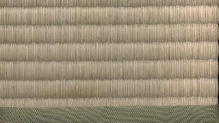 TATAMIの画像
