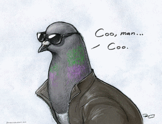 COO COOの画像