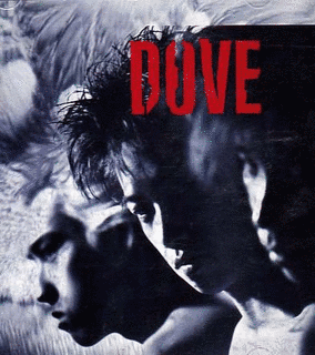 DOVEの画像