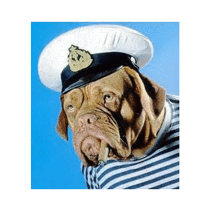 SALTY DOGの画像