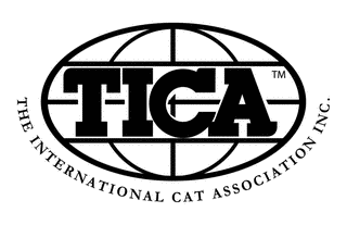 TICAの画像