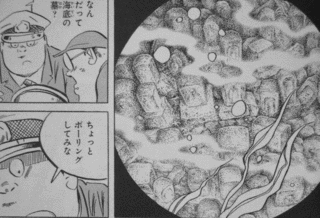 フーシギくんの画像