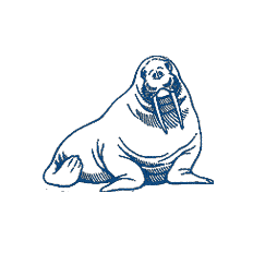 チャック・ローブの画像