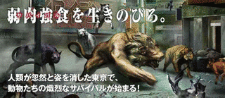 TOKYO JUNGLEの画像