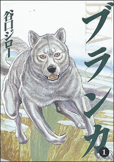 ブランカの画像