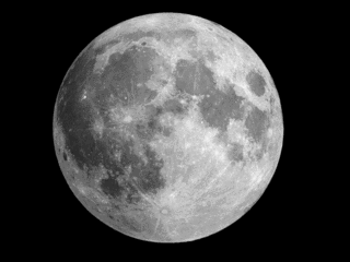 FULLMOONの画像