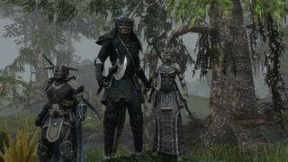 THE ELDER SCROLLS ONLINEの画像