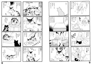 本日の猫事情の画像