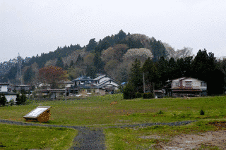 舞舞草の谷の画像