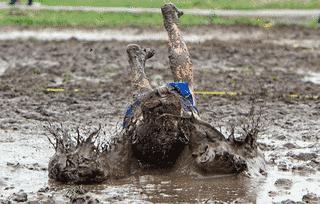 MUDDYの画像