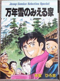 万年雪のみえる家の画像