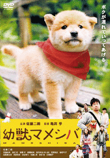 日本のテレビドラマの画像